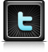 twitter icon